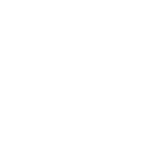 Logo Wordpress