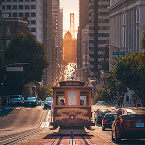 Faune marine des maldives